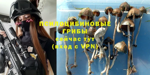 дмт Кукмор