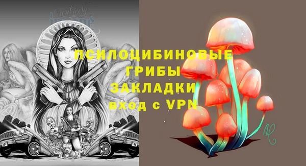 мдпв Куйбышев