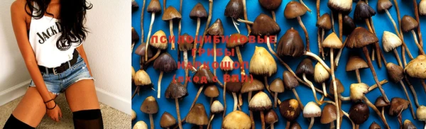 дмт Кукмор