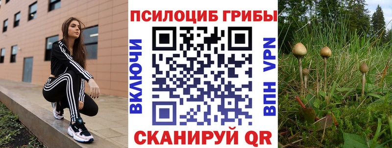 Псилоцибиновые грибы Magic Shrooms закладки Сурск